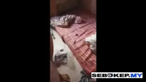 Bokep Indo Kamar Pacar